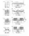 Fig. 03 - Electrostatic discharge protection apparatus and process