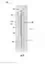 Fig. 10 - Back-to-back stacked dies