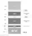 Fig. 26 - U-shaped vertical thin-channel memory