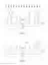 Fig. 04 - Fin-shaped structure