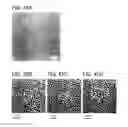 Fig. 43 - Semiconductor device