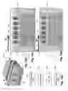 Fig. 14 - Fully substrate-isolated FinFET transistor