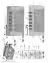 Fig. 15 - Fully substrate-isolated FinFET transistor