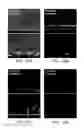 Fig. 08 - Semiconductor ultraviolet light emitting device having improved light extraction efficiency