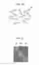 Fig. 14 - Light-emitting device having surface structure for limiting directional angle of light