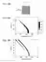 Fig. 29 - Light-emitting device having surface structure for limiting directional angle of light