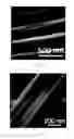 Fig. 11 - PIEZOELECTRICITY PVDF MATERIALS AND METHOD FOR MAKING THE SAME
