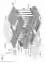 Fig. 02 - Semiconductor storage device
