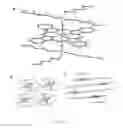 Fig. 08 - CRYSTALLIZATION OF ADDITIVES AT P/N JUNCTIONS OF BULK-HETEROJUNCTION PHOTOACTIVE LAYERS