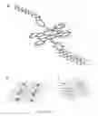 Fig. 10 - CRYSTALLIZATION OF ADDITIVES AT P/N JUNCTIONS OF BULK-HETEROJUNCTION PHOTOACTIVE LAYERS