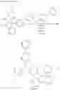 Fig. 65 - Organometallic complex, and light-emitting element and display device using the organometallic complex