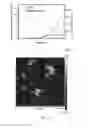 Fig. 15 - Electroluminescent device