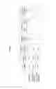 Fig. 05 - Film member having uneven structure