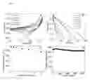 Fig. 06 - COMPOSITES COMPRISING HALLOYSITE TUBES AND METHODS FOR THEIR PREPARATION AND USE