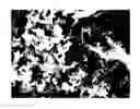 Fig. 01 - Method for making sulfur-graphene composite material