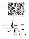 Fig. 02 - Coatings for SOFC metallic interconnects