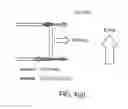 Fig. 06 - Method of making and using an apparatus for a locomotive micro-implant using active electromagnetic propulsion