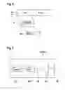 Fig. 07 - Method of receiving a wavelength division multiplexed optical upstream signal in an optical access network
