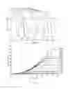 Fig. 06 - METHOD AND ELECTRONIC DEVICE FOR DETERMINING CQI INDEX
