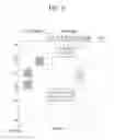 Fig. 07 - METHOD AND APPARATUS FOR OPPORTUNISTIC DATA TRANSMISSION