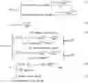Fig. 18 - Methods of uplink channelization in LTE