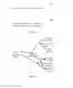 Fig. 10 - Optical network unit ONU registration method, apparatus, and system