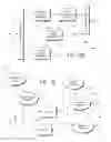 Fig. 08 - Enterprise client-server system and methods of providing web application support through distributed emulation of websocket communications