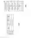 Fig. 22 - Conclusive write operation dispersed storage network frame