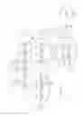 Fig. 25 - System, apparatus for content delivery for internet traffic and methods thereof