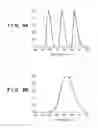 Fig. 09 - Image forming apparatus with color calibration by measurement image