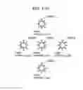 Fig. 119 - Information communication method for obtaining information specified by striped pattern of bright lines