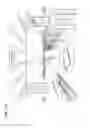 Fig. 203 - Information communication method for obtaining information specified by striped pattern of bright lines