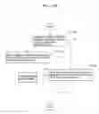 Fig. 243 - Information communication method for obtaining information specified by striped pattern of bright lines