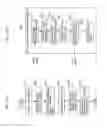 Fig. 356 - Information communication method for obtaining information specified by striped pattern of bright lines