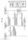 Fig. 20 - SAFETY EQUIPMENT, IMAGE COMMUNICATION SYSTEM, METHOD FOR CONTROLLING LIGHT EMISSION, AND NON-TRANSITORY RECORDING MEDIUM