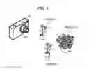 Fig. 03 - Image pickup apparatus that automatically generates time-lapse moving image, moving image generation method, and storage medium