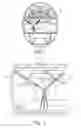 Fig. 02 - SYSTEM AND METHOD FOR VISUALLY DISPLAYING INFORMATION ON REAL OBJECTS