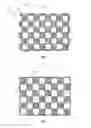Fig. 02 - Depth sensing auto focus multiple camera system