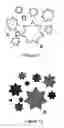 Fig. 11 - METHOD AND APPARATUS FOR ENCODING AND DECODING DIGITAL DATA IN AN IMAGE