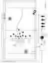 Fig. 03 - MULTIPOINT CAPTURE OF VIDEO AND DATA PROCESSING AND DISTRIBUTION
