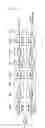Fig. 08 - BROADCAST TRANSMISSION APPARATUS, BROADCAST RECEPTION APPARATUS, OPERATION METHOD OF THE BROADCAST TRANSMISSION APPARATUS AND OPERATION METHOD OF THE BROADCAST RECEPTION APPARATUS