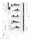 Fig. 19 - Systems and methods for planning, executing, and reporting a strategic advertising campaign for television