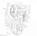 Fig. 01 - Base Station, Wireless Headset and Headband Thereto