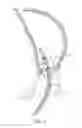 Fig. 06 - Earbud headphones that convert into an accessory