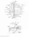 Fig. 04 - INVERTED DUAL COIL TRANSDUCER