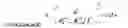 Fig. 04 - Authentication of user computers