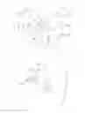 Fig. 01 - Opportunistic use of spectrum