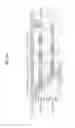 Fig. 40 - Method and apparatus for transmitting control information in wireless communication system