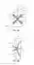 Fig. 17 - Extreme ultraviolet light generation apparatus