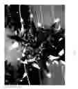 Fig. 02 - Buddleia 'SMNBOW'